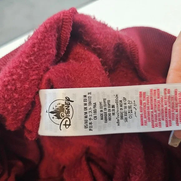 Disneyland park exclusive medium zip up hoodie burgundy - Picture 6 of 6
